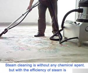蒸汽清洗地毯